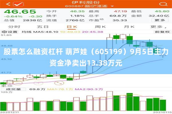 股票怎么融资杠杆 葫芦娃（605199）9月5日主力资金净卖出13.38万元