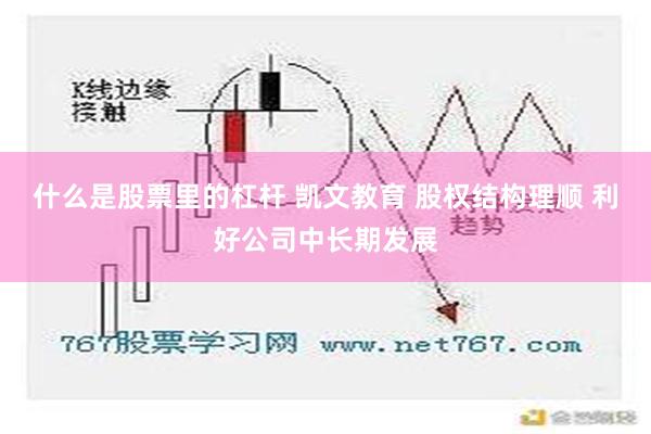 什么是股票里的杠杆 凯文教育 股权结构理顺 利好公司中长期发展