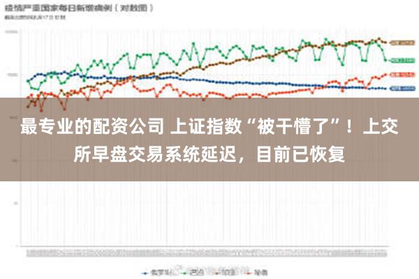 最专业的配资公司 上证指数“被干懵了”！上交所早盘交易系统延迟，目前已恢复