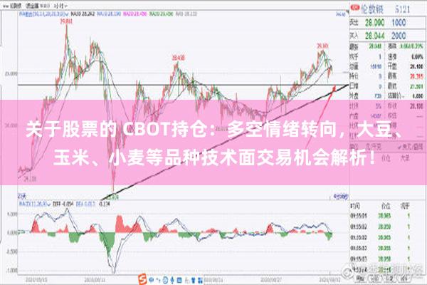 关于股票的 CBOT持仓：多空情绪转向，大豆、玉米、小麦等品种技术面交易机会解析！