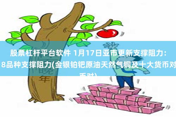 股票杠杆平台软件 1月17日亚市更新支撑阻力：18品种支撑阻力(金银铂钯原油天然气铜及十大货币对)